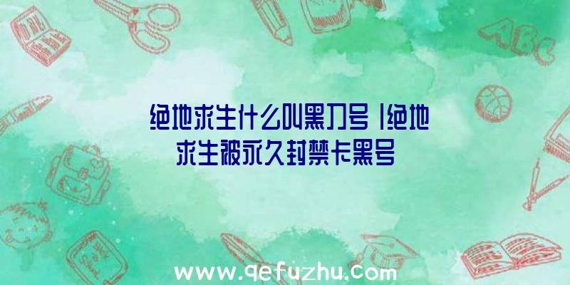 「绝地求生什么叫黑刀号」|绝地求生被永久封禁卡黑号